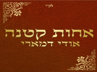 אודי דמארי בפיוט מחודש - "אחות קטנה"