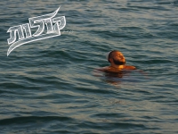 יונתן שחק בסינגל חדש - "קולות"