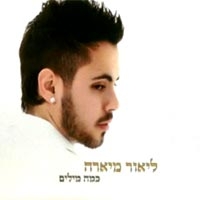 ליאור מיארה - כמה מילים