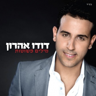 דודו אהרון - מילים פשוטות